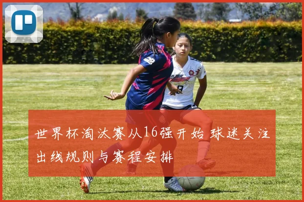世界杯淘汰赛从16强开始 球迷关注出线规则与赛程安排