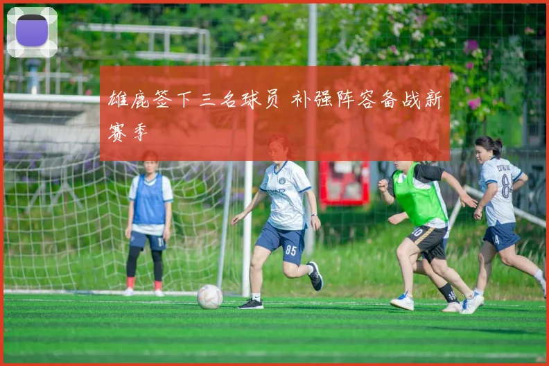雄鹿签下三名球员 补强阵容备战新赛季